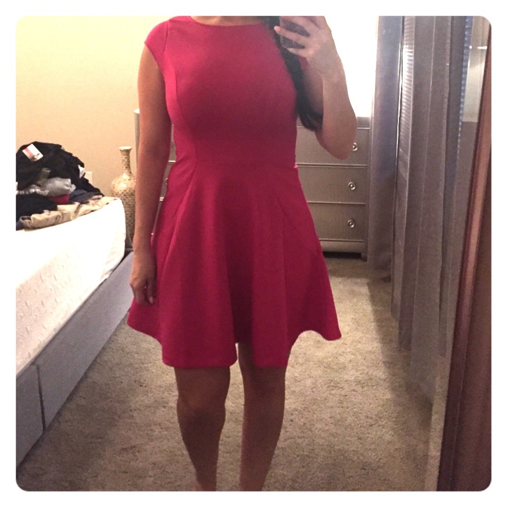 The Limited Pink Dress